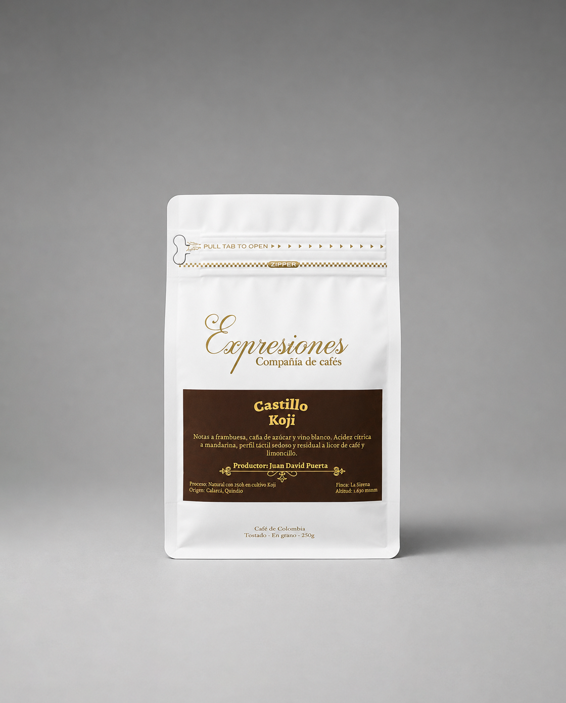 Expresiones - Castillo Koji